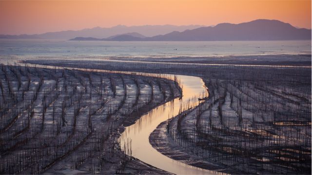 Stunning Sunset over Serene River Among Marshlands - Download Free Stock Images Pikwizard.com