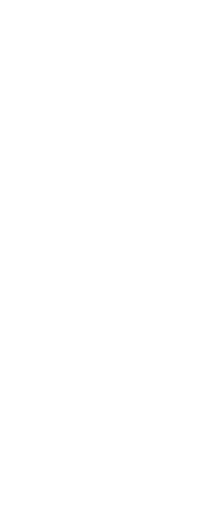 Transparent Rugby Player Silhouette on Vector Design