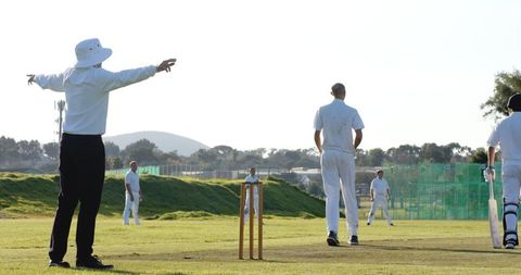Cricket umpire signaling wide during outdoor match