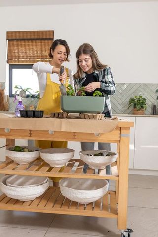 Female friends potting seedlings together in bright kitchen with green planter