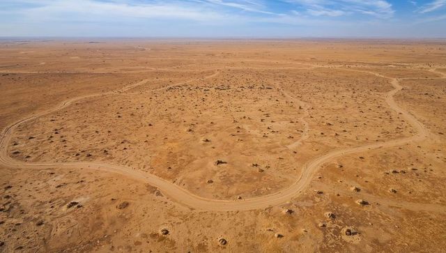 Snaking dirt track crossing arid plain with scattered termite mounds and tire ruts