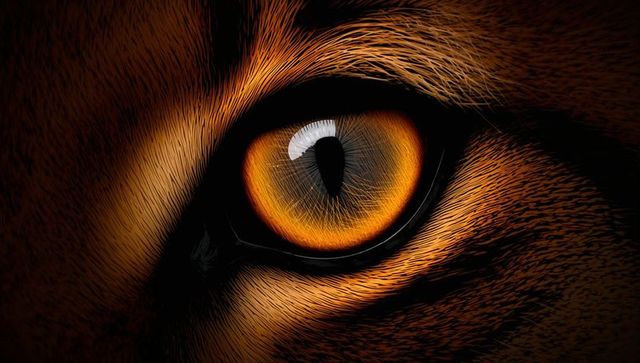 Amber feline eye macro showing striped orange fur and reflective vertical pupil