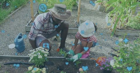 African american father and daughter planting seedlings in raised garden bed together