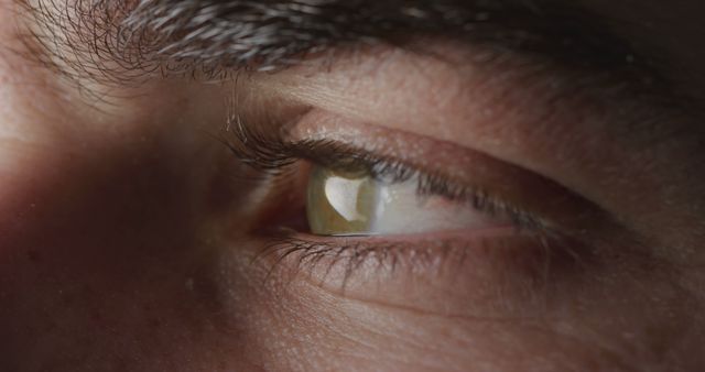 Close-up of a young Caucasian man's eye, with copy space. Detail captures the intricate textures of the skin and iris.