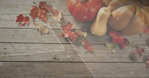 Autumn harvest flatlay with pumpkins and butternut on rustic wooden planks