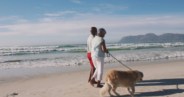 Senior african american couple walking with a dog and holding hands at the beach. healthy outdoor leisure time by the sea.