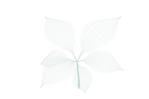 3d transparent plant leaves abstract mesh artwork - Download Free Stock Videos Pikwizard.com