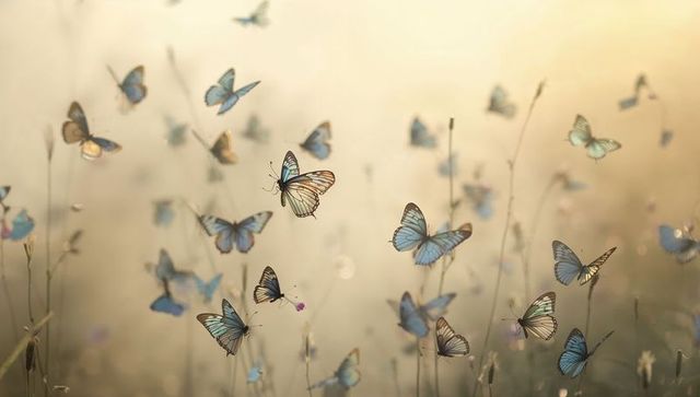 Turquoise butterflies fluttering at dawn over dewy meadow with soft golden bokeh and gentle light