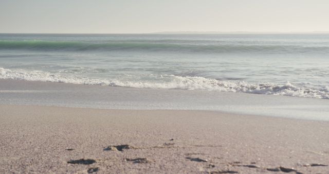 Sunny Beach with Calm Waves and Footprints in the Sand - Download Free Stock Photos Pikwizard.com