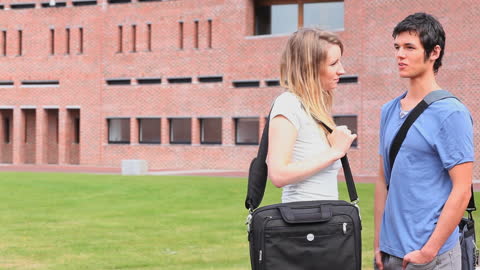 College Students Engaging in Conversation on Campus Lawn