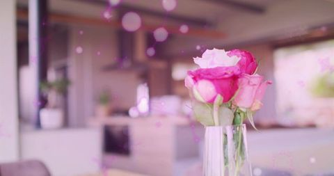 Pink rose bouquet in glass vase on modern kitchen counter with pastel bokeh lights
