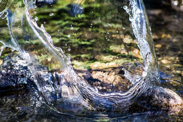 Close-up photo captures moment of water splashing over rocks in clear stream. Perfect for illustrating nature, freshness, and tranquility in environmental or travel articles, advertisements, digital or print publications. Ideal for promoting natural beauty and aquatic environments.
