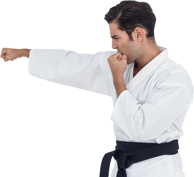 Young Male Karate Expert in Transparent Background Losing Focus - Download Free Stock Videos Pikwizard.com