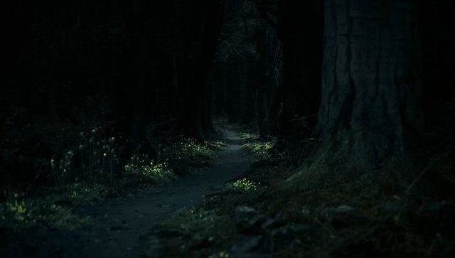Enchanted forest path illuminated by mysterious night lights