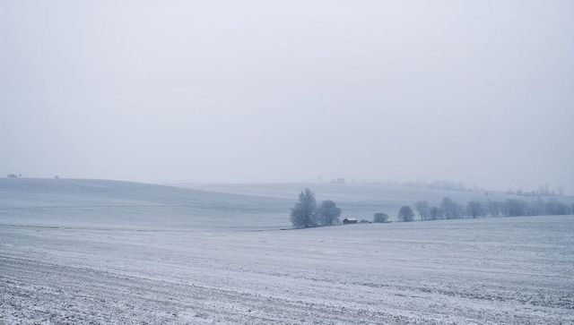 Foggy winter landscape stretching across snow-dusted plowed fields with farmstead and bare trees