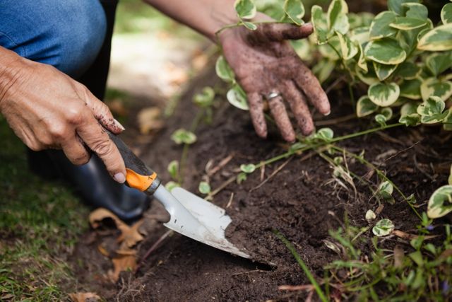 Senior woman digging soil with a trowel in backyard garden. Ideal for content related to gardening, outdoor activities, senior lifestyle, horticulture, and hobbies. Perfect for illustrating articles, blogs, and advertisements focused on gardening tips, senior health, and nature activities.