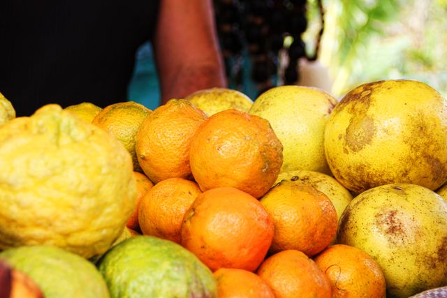 Freshly harvested citrus fruits, including oranges and limes, stacked at a local market stall. Ideal for use in agricultural market advertisements, fresh produce promotions, and health-related marketing materials. Can also be used to illustrate food and nutrition articles or vibrant farmers' market scenes.