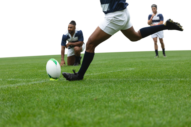 Diverse Rugby Players During Game on Transparent Background Isolated - Download Free Stock Videos Pikwizard.com