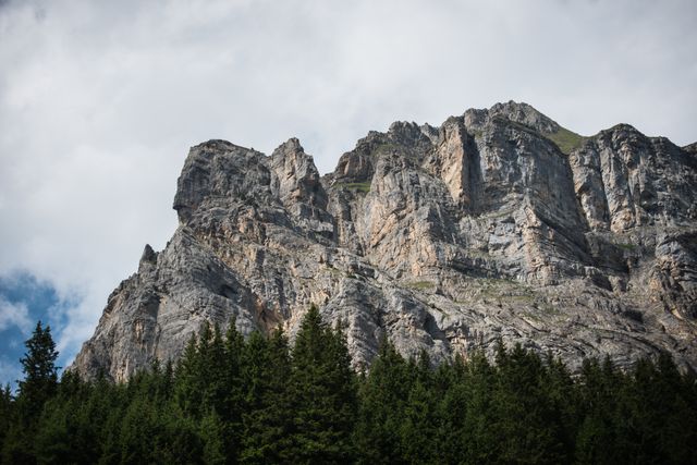 Majestic Rocky Mountain Cliff over Pine Forest Under Cloudy Sky - Download Free Stock Photos Pikwizard.com