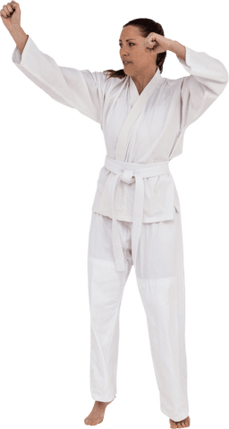 strong woman practicing martial arts techniques with transparent background - Download Free Stock Videos Pikwizard.com