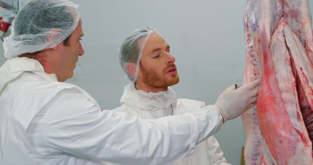 Butchers in Protective Gear Inspecting Meat - Download Free Stock Images Pikwizard.com