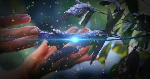 Hands cradling dewy leaves, inspecting branch with blue light flare and golden bokeh