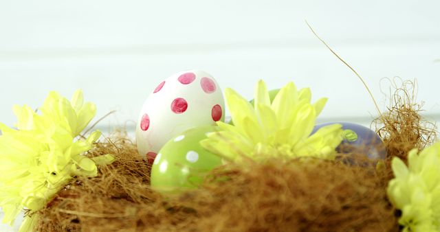 Easter eggs with colorful polka dots are nestled in a nest surrounded by bright yellow flowers, with copy space. These eggs symbolize the festive spirit of Easter and the tradition of egg hunting.
