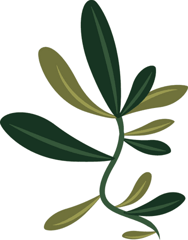 Transparent Vine with Elongated Leaves Flat Minimalist Design