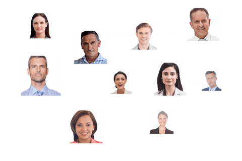 business network connections on transparent background illustration - Download Free Stock Videos Pikwizard.com