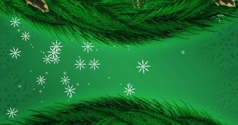 Festive Snowflakes with Evergreen Fir on Green Background