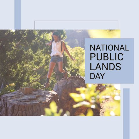 Joyful woman enjoying wilderness in national forest celebration