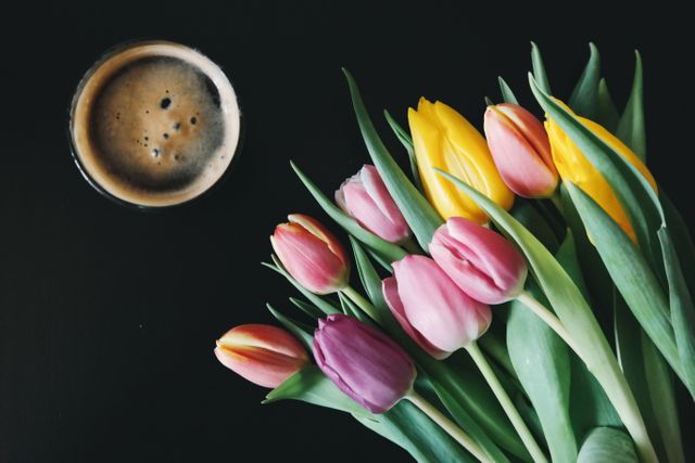 Colorful Tulips with Coffee on Black Background - Download Free Stock Photos Pikwizard.com