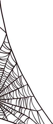 intricate radial spider web on transparent background - Download Free Stock Videos Pikwizard.com