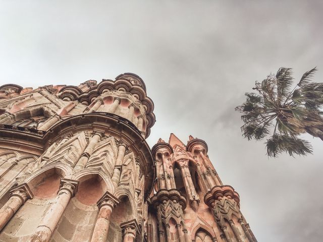 Depicts a low angle view of a Gothic Revival style cathedral with ornate stonework and spires set against a cloudy sky. Palm tree visible on the right adds contrast to the scene. This image can be used in travel brochures, architectural magazines, historical documentaries, or website headers promoting historic destinations.