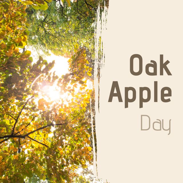 Bright sunlit image of apple tree leaves creates a vibrant and cheerful background for Oak Apple Day. Perfect for seasonal events, nature celebrations, holiday advertisements, greeting cards, and festive decorations.
