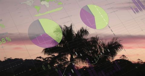 Financial Data Overlay on Tropical Sunset Landscape - Download Free Stock Images Pikwizard.com