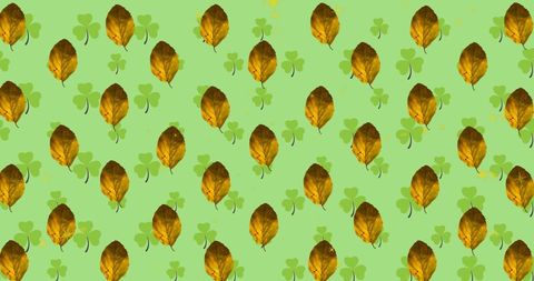 Pattern of rustic autumm leaves with clover tips on green background