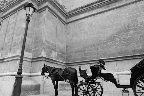 Vintage Black and White Horse Carriage Beside Historic Building