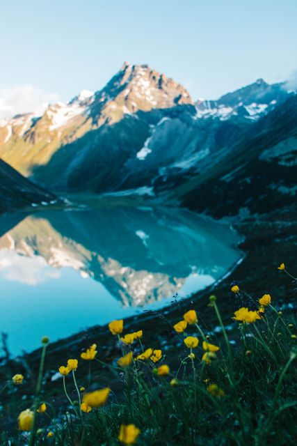 A tranquil mountain scene featuring a reflective lake with yellow wildflowers on the foreground and snow-capped peaks in the background. Suitable for travel brochures, nature magazines, outdoor adventure blogs, desktop wallpapers, and serene landscape prints.