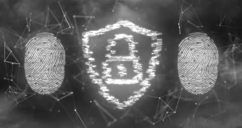 Digital Security: Biometric Authentication and Encryption Concept