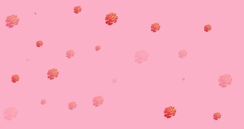 Floating Rose Petals on Pink Background - Download Free Stock Images Pikwizard.com