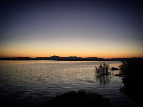 Tranquil sunset over serene beach with wild vegetation