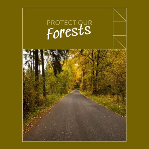Protect Our Forests Message with Serene Forest Road Pathway - Download Free Stock Templates Pikwizard.com