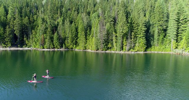 Couple enjoying paddleboarding on a calm lake, surrounded by dense evergreen forest, embodying adventure and connection with nature. Ideal for travel brochures, outdoor activity promotions, and eco-friendly lifestyle campaigns.
