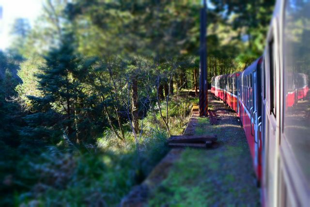 Red train moving through lush forested area, highlighting the scenic greenery and natural beauty around. Perfect for articles or posts about train travel, scenic journeys, transportation in nature, outdoor adventures, or the beauty of countryside landscapes.