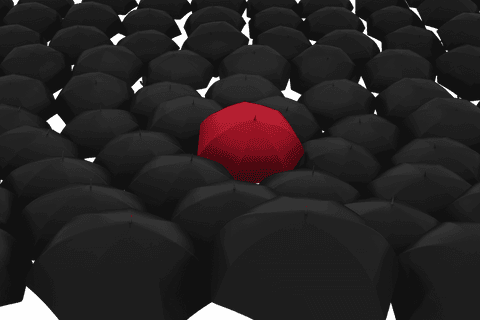 transparent black and red umbrella pattern png background - Download Free Stock Videos Pikwizard.com
