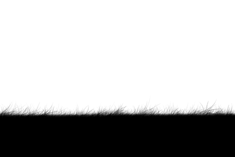 silhouette of grassy plains on transparent background - Download Free Stock Videos Pikwizard.com