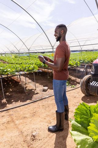 Agricultural Professional Using Smartphone in Modern Greenhouse