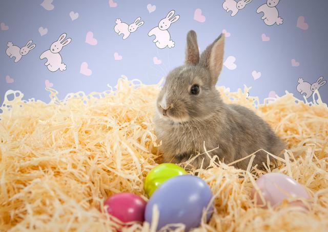 Cute Baby Rabbit Sitting on Straw with Easter Eggs - Download Free Stock Photos Pikwizard.com
