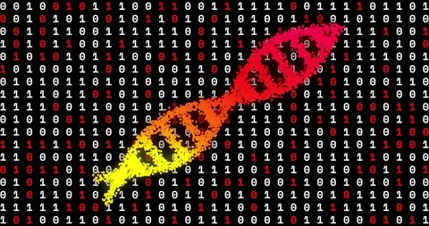 Dna strand and binary code concept